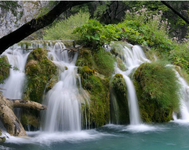 forests-waterfalls.jpg